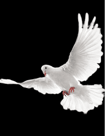 Terris Lynn Taylor Obituary