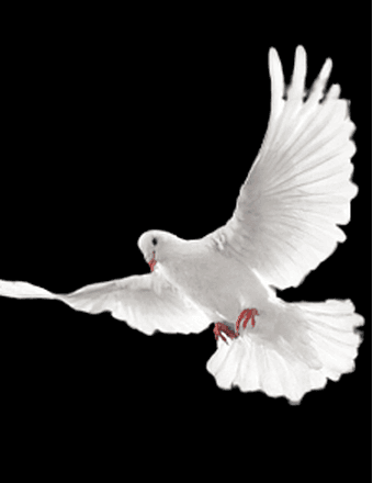 Dennis Ray Motley Obituary