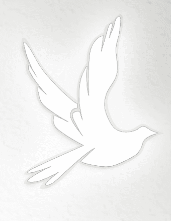 Amanda Gail Trager Obituary